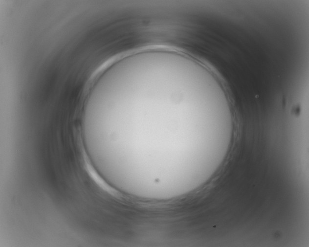X0000114391476200910161020