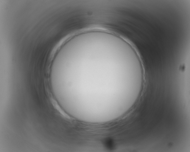 X0000114391477200910161020