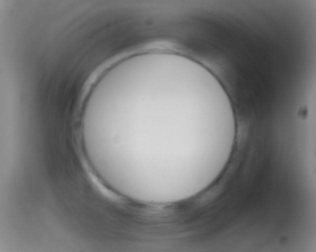 X0000114391478200910161020