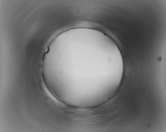 X0000114391479200910161020