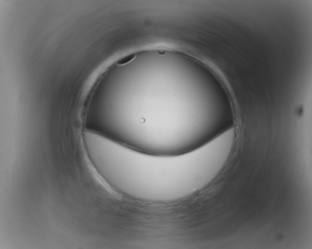 X0000114391480200910161020