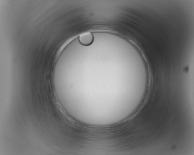 X0000114391481200910161020