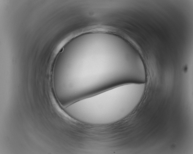 X0000114391483200910161020