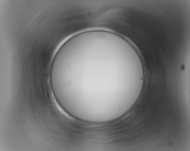 X0000114391484200910161020