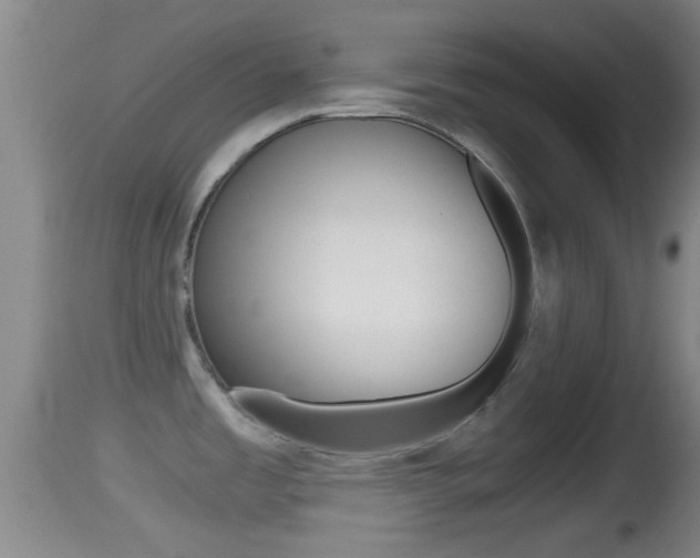 X0000114391485200910161020