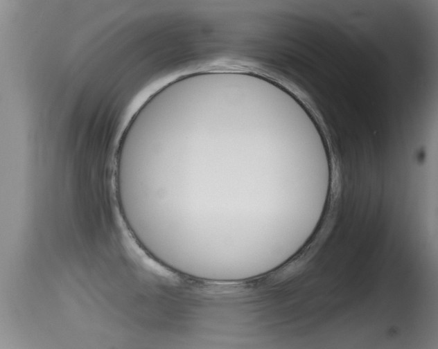 X0000114391486200910161020