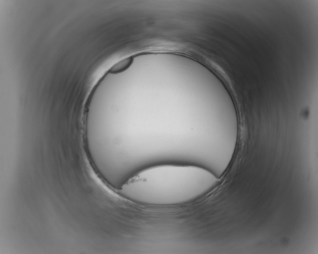 X0000114391487200910161020