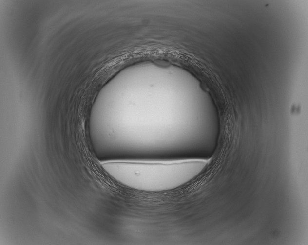 X0000114391489200910161019