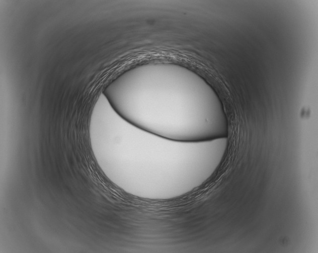 X0000114391490200910161019