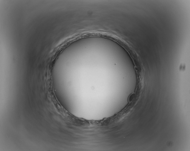 X0000114391494200910161019