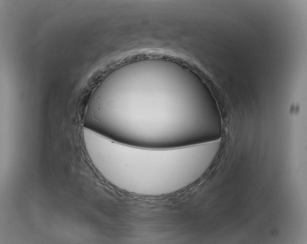 X0000114391495200910161019