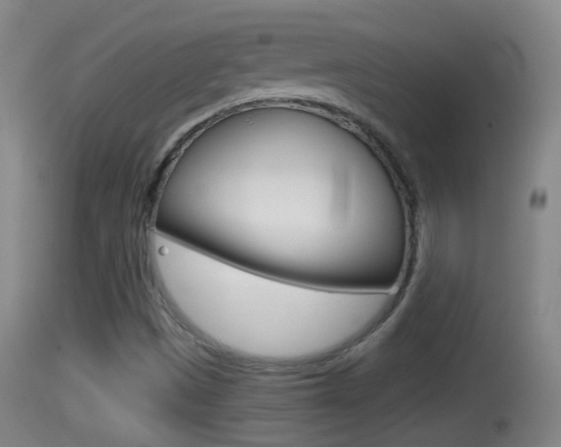 X0000114391497200910161019