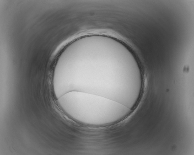 X0000114391498200910161019