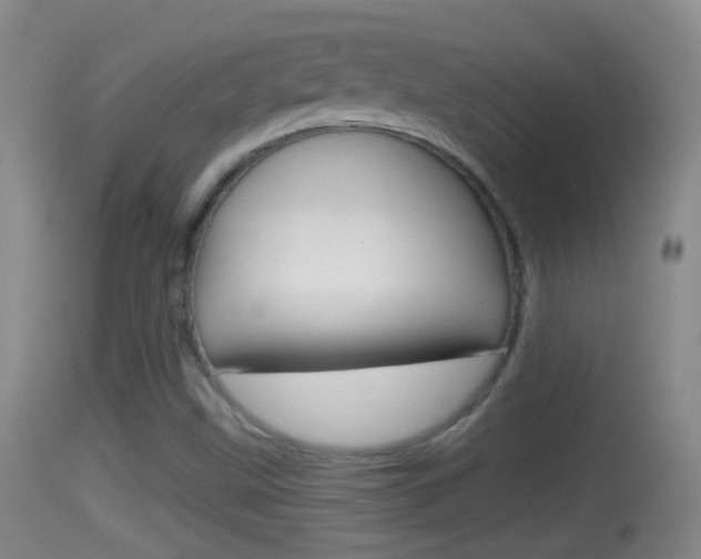 X0000114391499200910161019