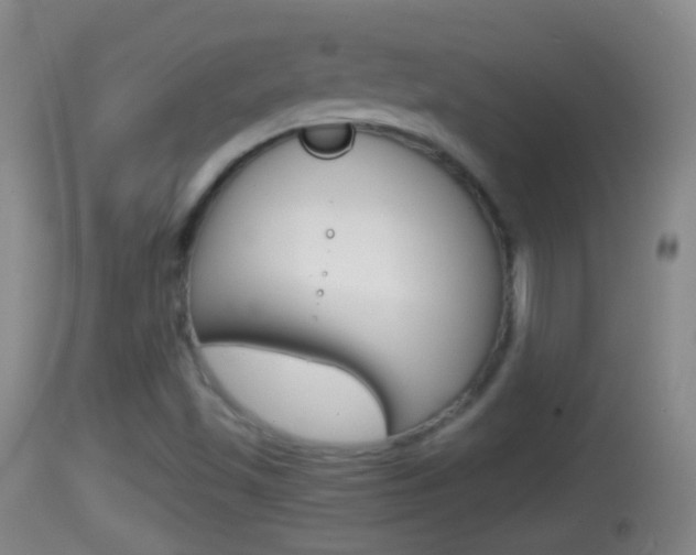 X0000114391501200910161019