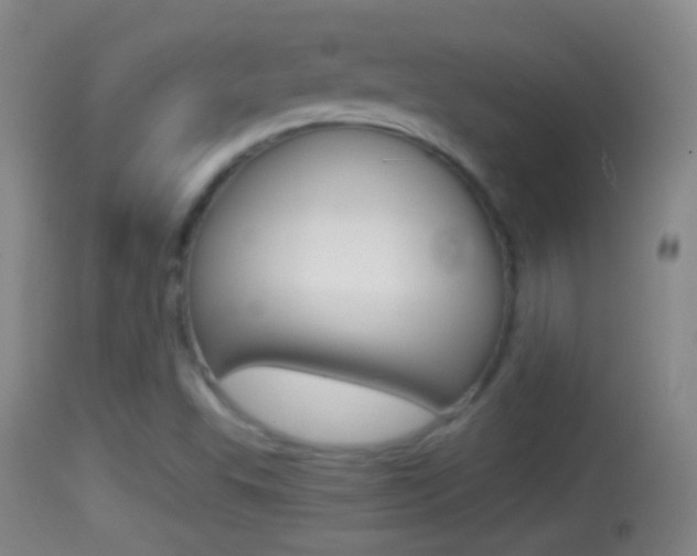 X0000114391503200910161019
