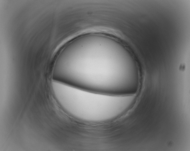 X0000114391505200910161019