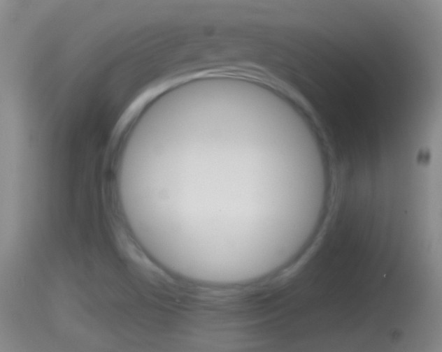 X0000114391506200910161019