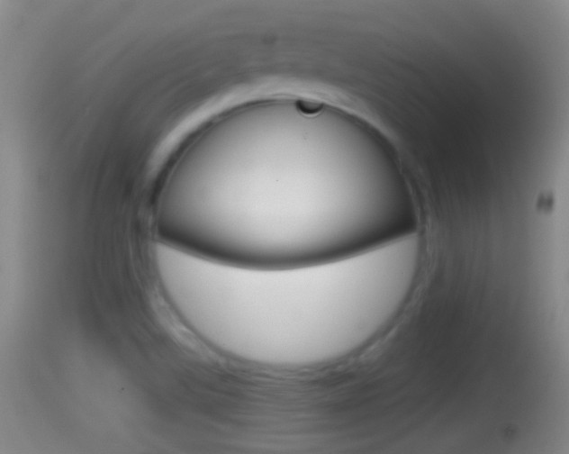 X0000114391507200910161019