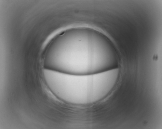 X0000114391510200910161019
