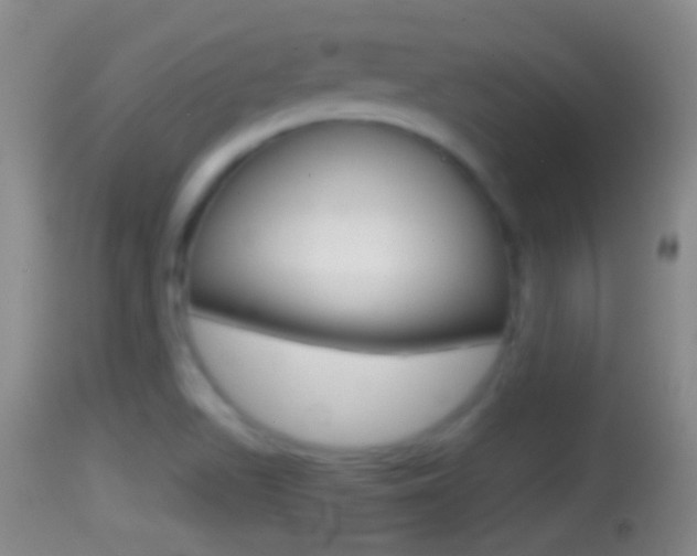 X0000114391511200910161019
