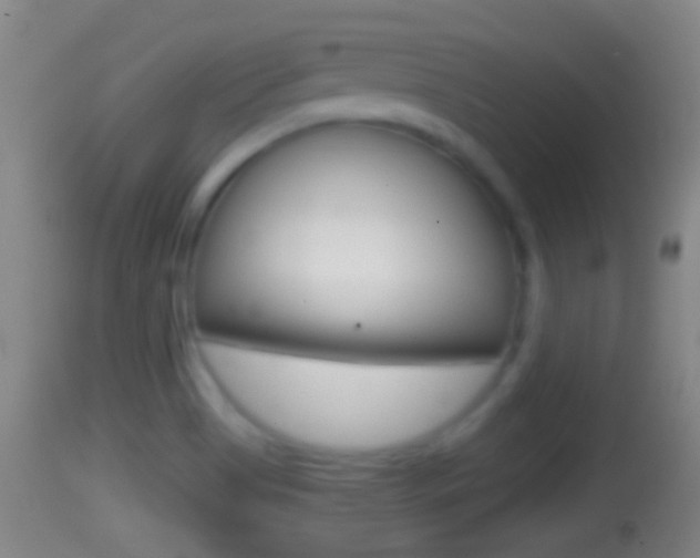 X0000114391513200910161019