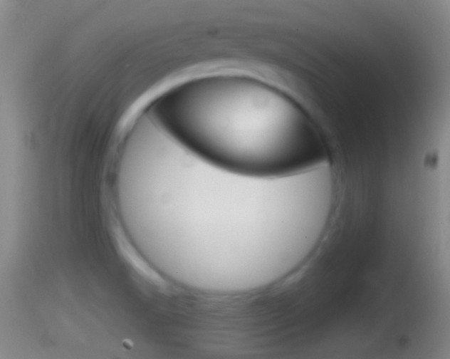 X0000114391518200910161019