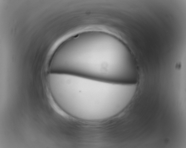 X0000114391519200910161019