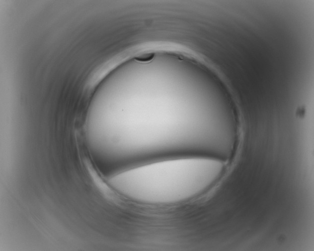 X0000114391521200910161019