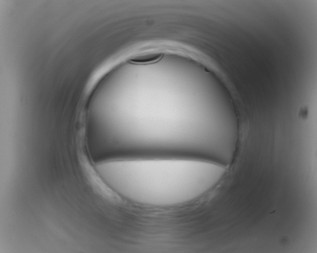 X0000114391522200910161019