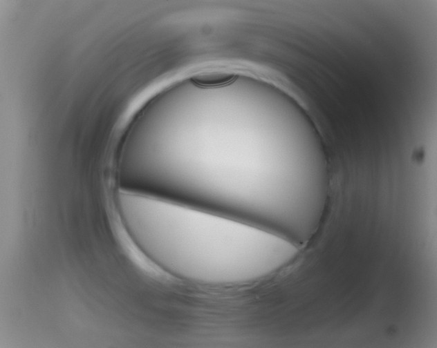 X0000114391523200910161019