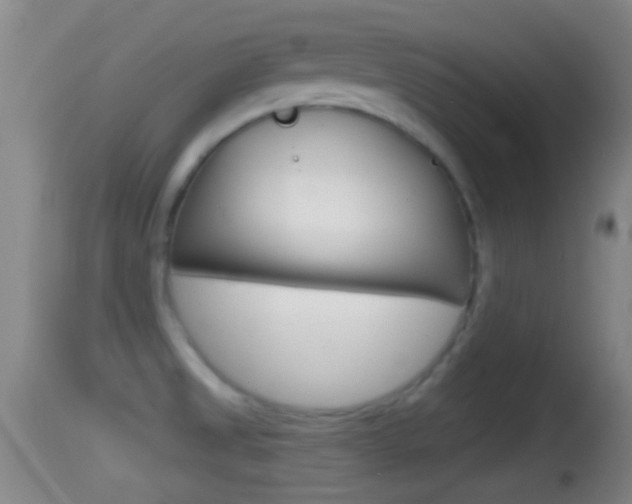 X0000114391525200910161019