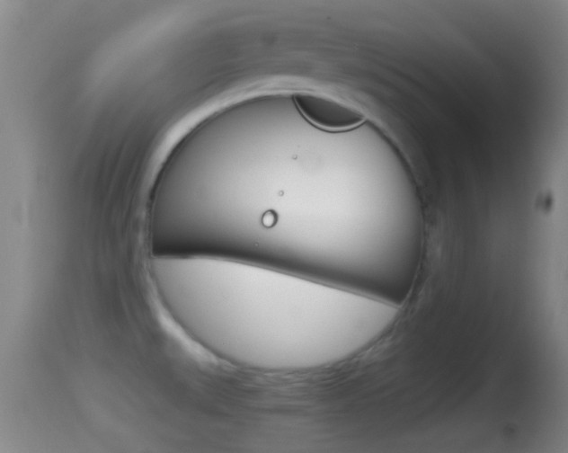 X0000114391527200910161019