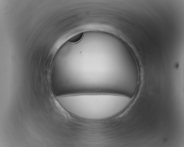 X0000114391529200910161020