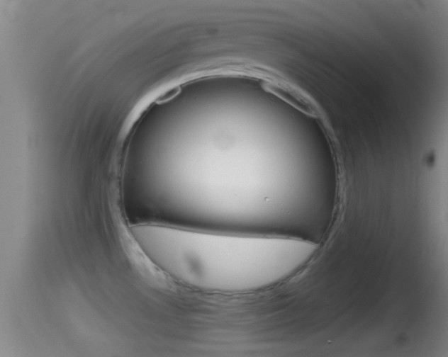 X0000114391530200910161020