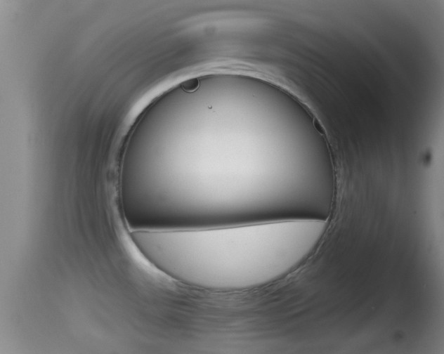 X0000114391531200910161020