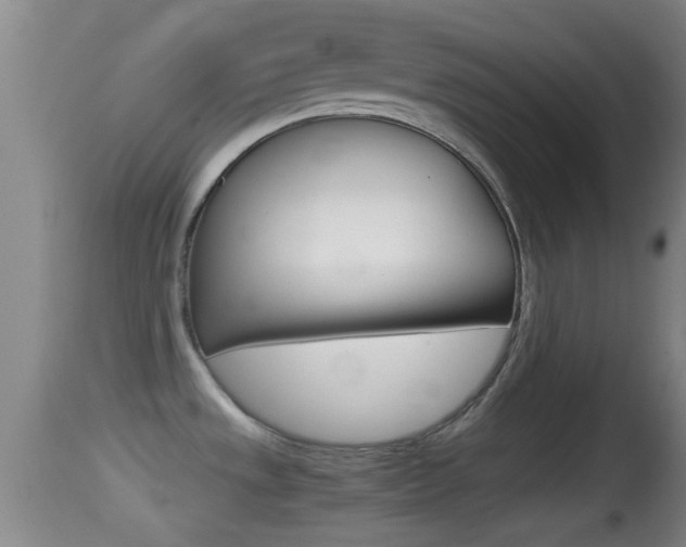 X0000114391533200910161020