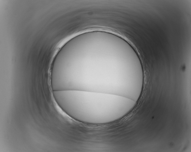 X0000114391535200910161020
