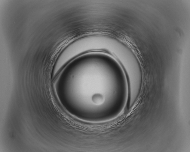X0000114390001200910161304