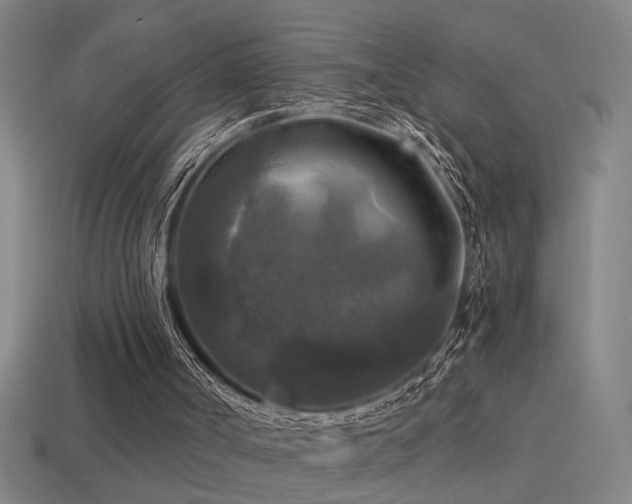 X0000114390002200910161304