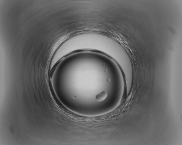 X0000114390003200910161304