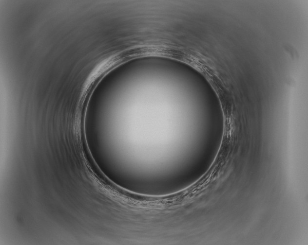 X0000114390004200910161304