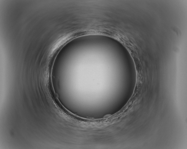 X0000114390005200910161304