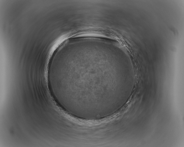 X0000114390006200910161304