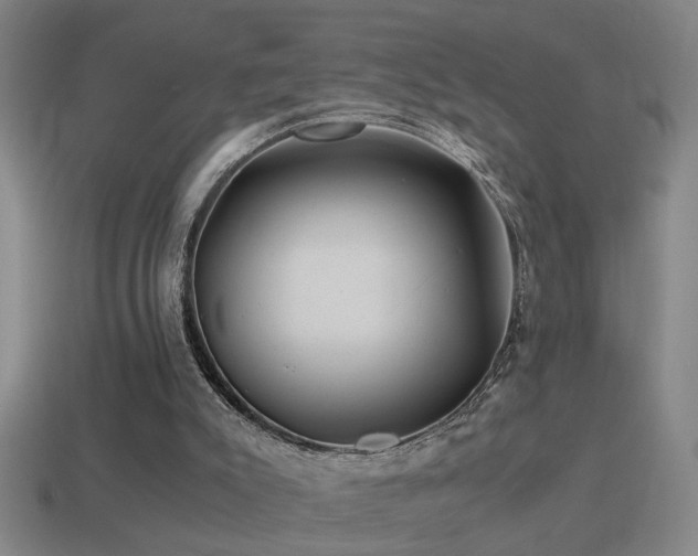 X0000114390007200910161304