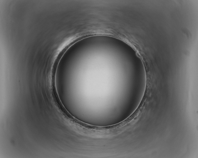 X0000114390008200910161304