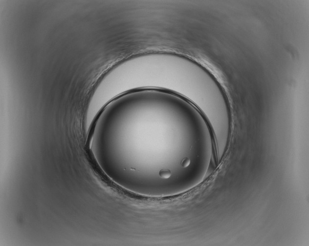 X0000114390009200910161304