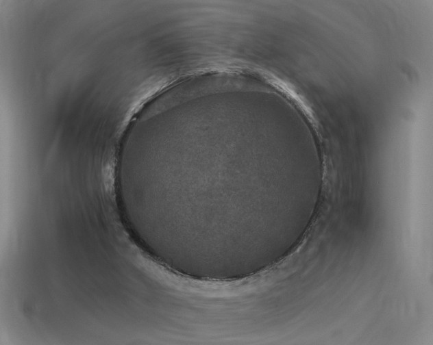 X0000114390010200910161304