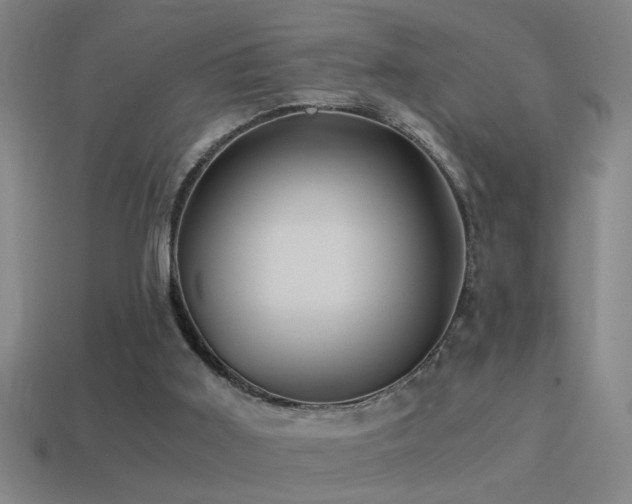 X0000114390011200910161304