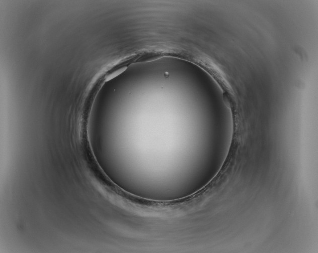 X0000114390012200910161304